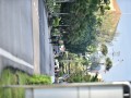 Tn dsc 5925